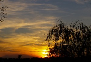 Anochecer en Ubeda 2009